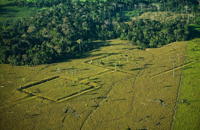 Επιστήμονες εντόπισαν 24 αρχαία χωματουργικά έργα στον Αμαζόνιο