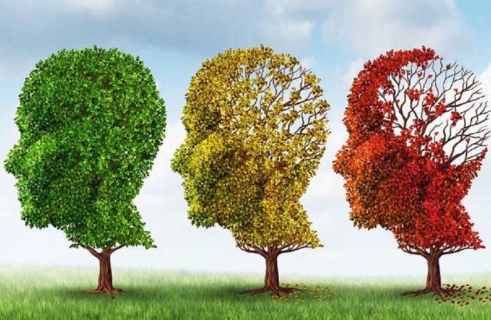 Ελληνικό Σχέδιο Δράσης για την άνοια και τη νόσο Alzheimer με επτά άξονες 