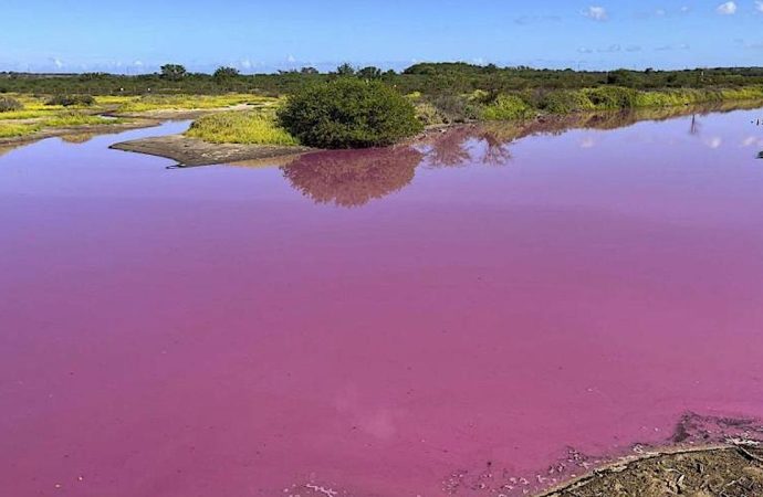Μια λίμνη στη Χαβάη έγινε ροζ-Τι λένε οι επιστήμονες