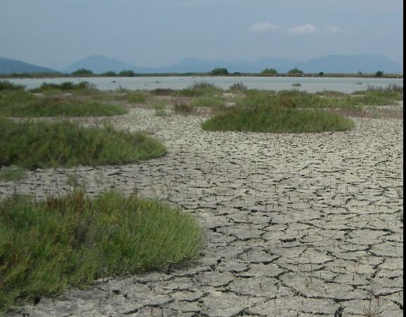 Κλιματική αλλαγή: Πάμε σε όλο και πιο θερμά έτη – Η ξηρασία το μεγαλύτερο πρόβλημα