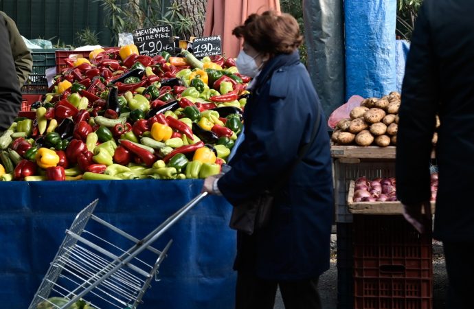 Αυξημένες κατά σχεδόν 16% οι εισαγωγές φρούτων και λαχανικών το δεκάμηνο του 2023