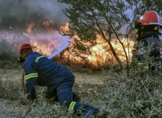 81 αγροτοδασικές πυρκαγιές το τελευταίο 24ωρο στη χώρα – FANTOMAS.GR